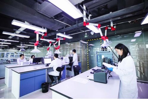 安徽百纳药业 深耕痛风降酸研究，以专业服务守护健康